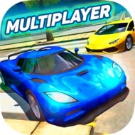 Multiplayer Driving Simulator mod apk